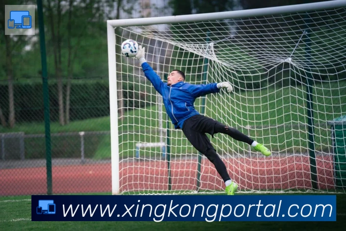 星空体育官网入口发展历程