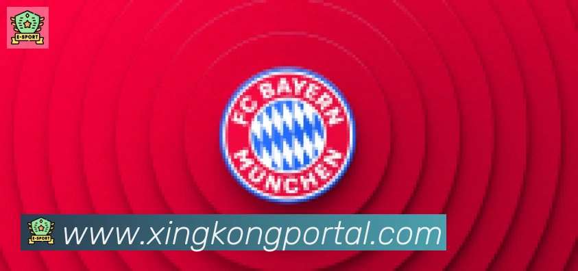 星空体育官网入口合作伙伴