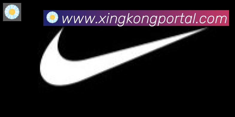 星空体育官网入口合作伙伴