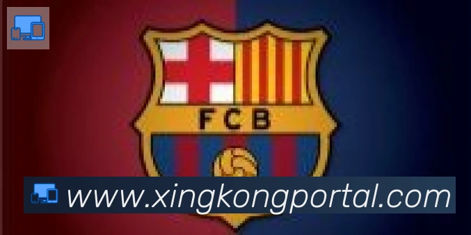 星空体育官网入口合作伙伴