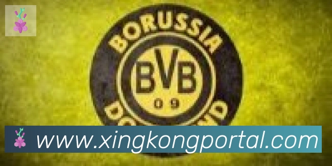 星空体育官网入口合作伙伴